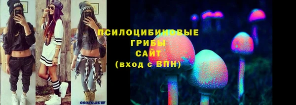 гашик Алексин