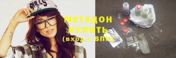 гашик Алексин