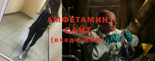 гашик Алексин