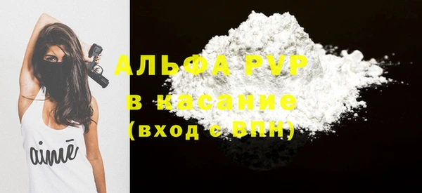 гашик Алексин