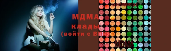 гашик Алексин