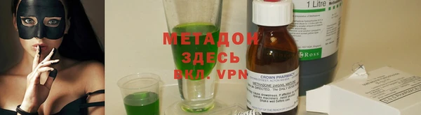 гашик Алексин