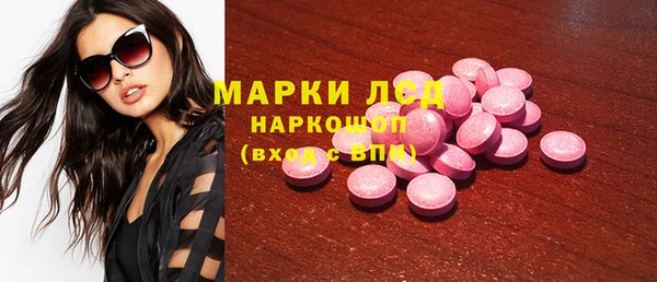 гашик Алексин