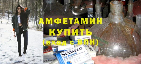 гашик Алексин