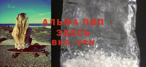 гашик Алексин