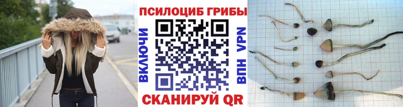 ОМГ ОМГ tor  Новочебоксарск  Галлюциногенные грибы Cubensis  где купить наркотик 